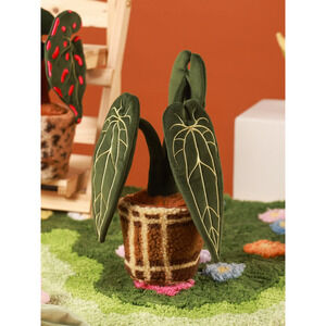 Plushf - Anthurium Warocqueanum plant plush